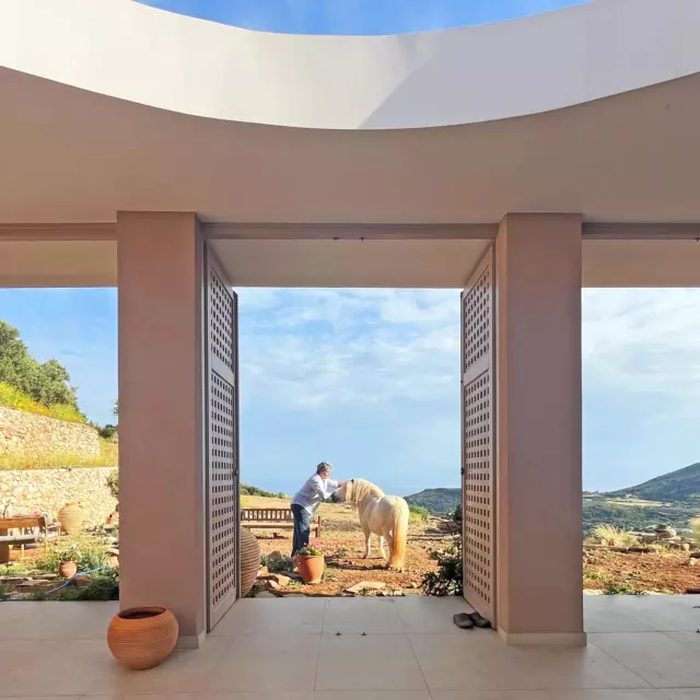 Villa Katerina 3. The house belongs to the island vet, and is home to nine cats, three dogs, one pony and an unknown number of tortoises. The courtyard has tall doors on its open side so it can be closed off when the wind blows.

#greekisland #kythira #oculus #courtyard #courtyardhouse #bluesky #views #islandliving #architectinoxford #islandvet #indooroutdoorliving #catsanddogs #pony #tortoise